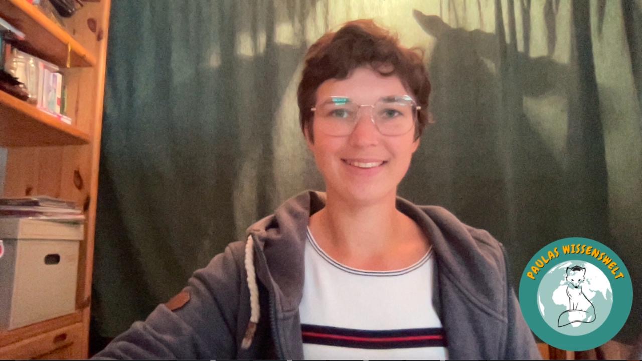 Paula beim Online-Unterricht